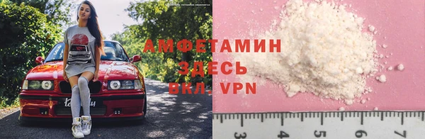 твердый Абаза