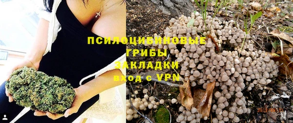 ECSTASY Абинск