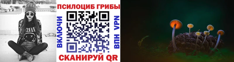 hydra ссылки Холмск Галлюциногенные грибы GOLDEN TEACHER