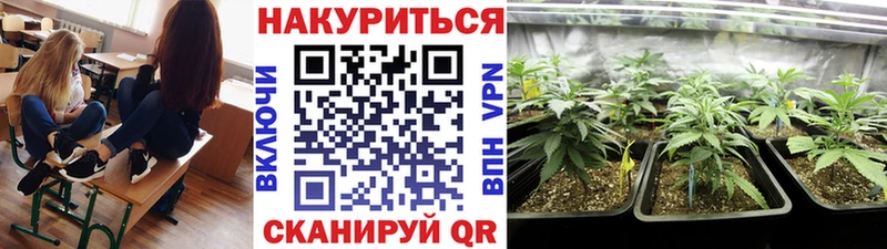 где найти наркотики  Холмск  mega как зайти  Канабис гибрид 